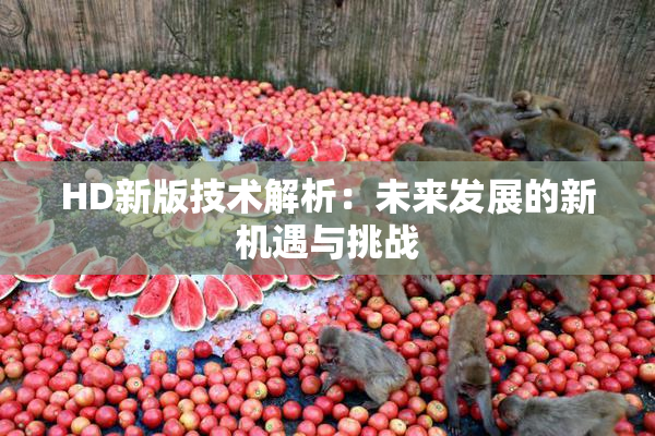 HD新版技术解析：未来发展的新机遇与挑战