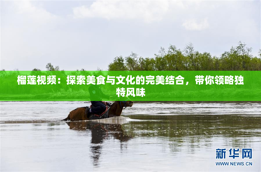 榴莲视频：探索美食与文化的完美结合，带你领略独特风味