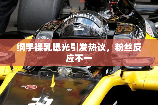 纲手裸乳曝光引发热议，粉丝反应不一