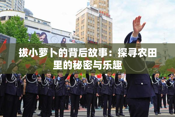 拔小萝卜的背后故事：探寻农田里的秘密与乐趣
