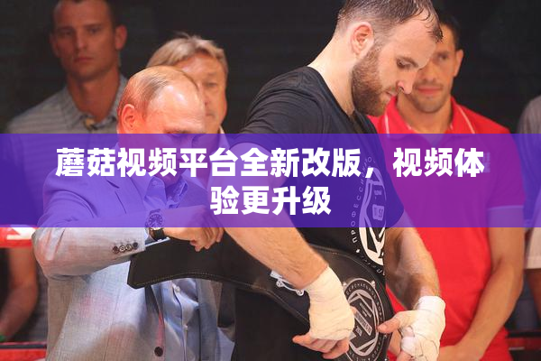 蘑菇视频平台全新改版，视频体验更升级