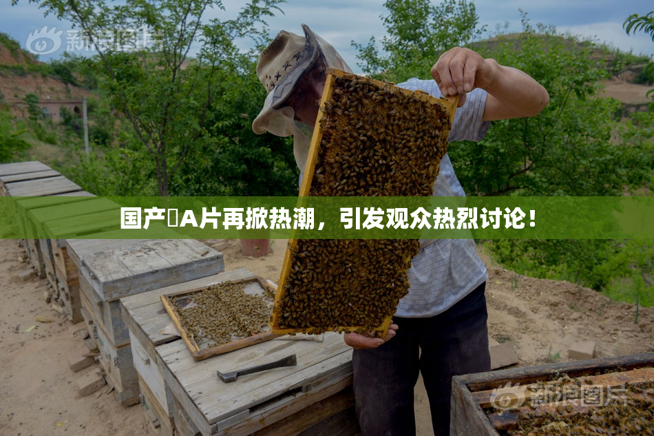国产婬A片再掀热潮，引发观众热烈讨论！