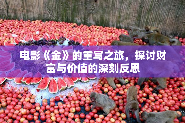 电影《金》的重写之旅，探讨财富与价值的深刻反思