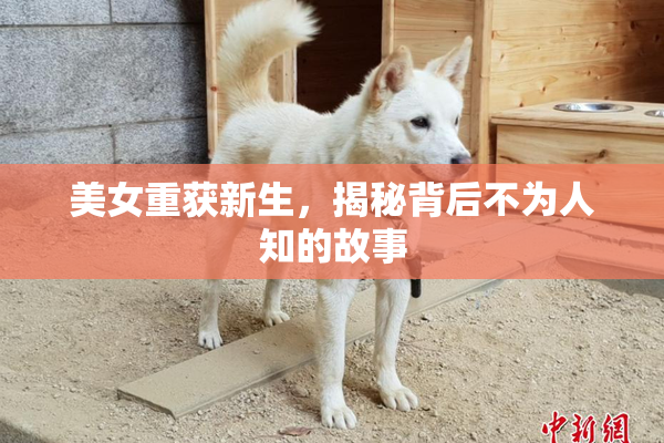 美女重获新生，揭秘背后不为人知的故事