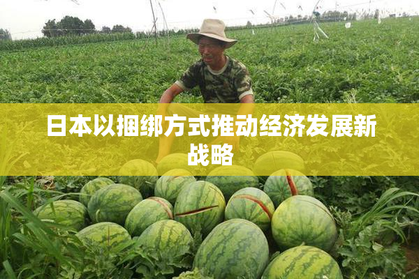 日本以捆绑方式推动经济发展新战略