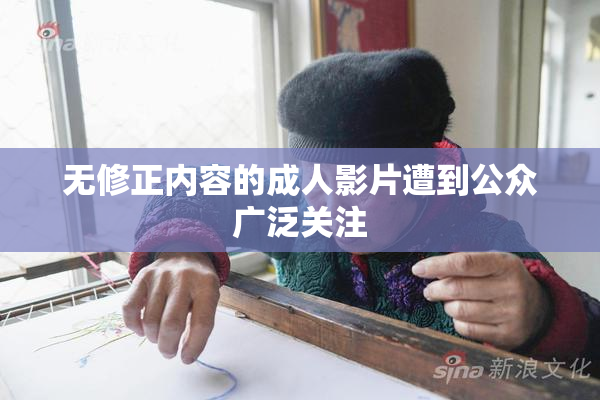 无修正内容的成人影片遭到公众广泛关注