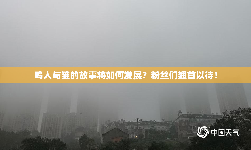 鸣人与雏的故事将如何发展？粉丝们翘首以待！