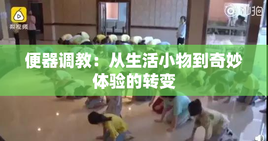 便器调教：从生活小物到奇妙体验的转变