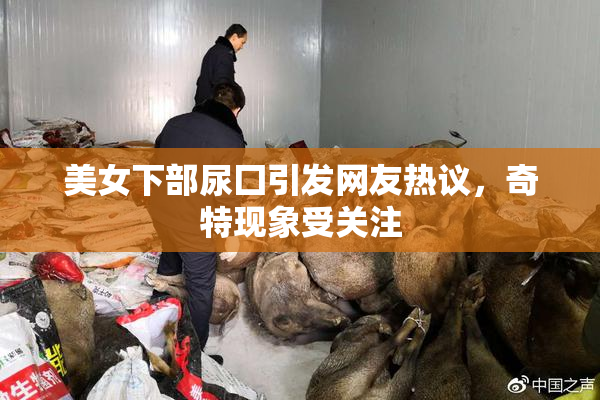 美女下部尿囗引发网友热议，奇特现象受关注