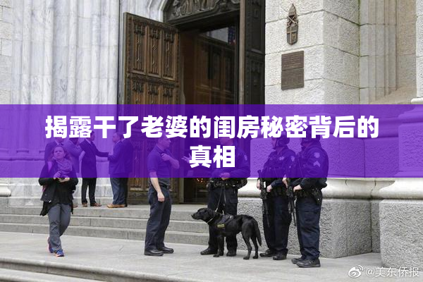 揭露干了老婆的闺房秘密背后的真相