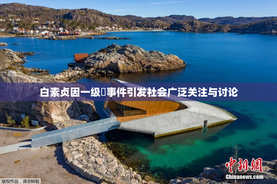 白素贞因一级婬事件引发社会广泛关注与讨论
