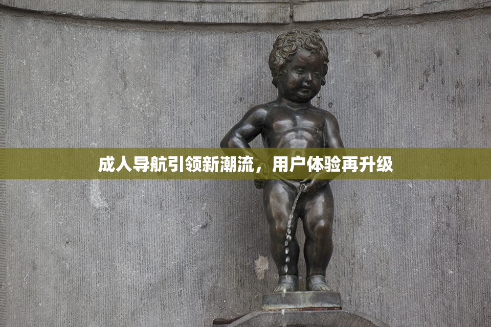 成人导航引领新潮流，用户体验再升级