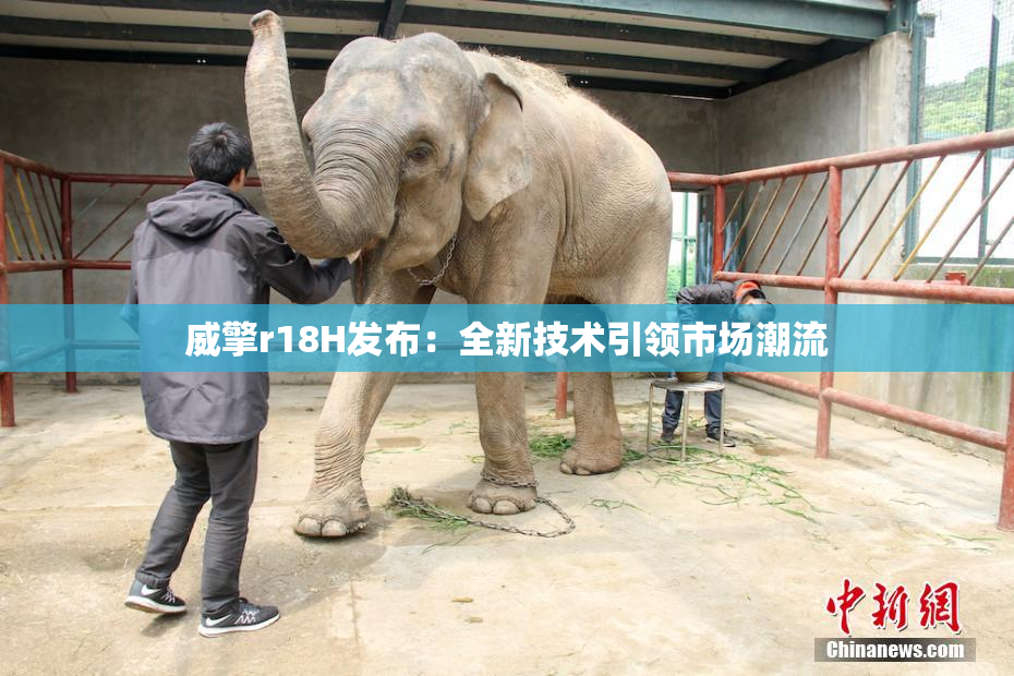 威擎r18H发布：全新技术引领市场潮流