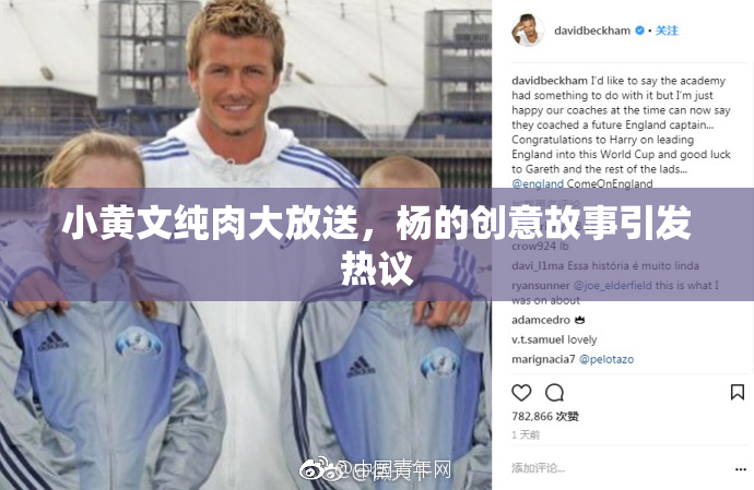 小黄文纯肉大放送，杨的创意故事引发热议