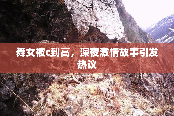 舞女被c到高，深夜激情故事引发热议