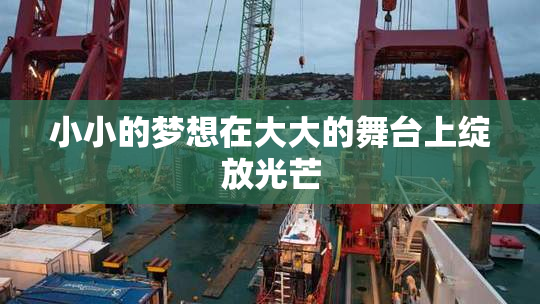 小小的梦想在大大的舞台上绽放光芒