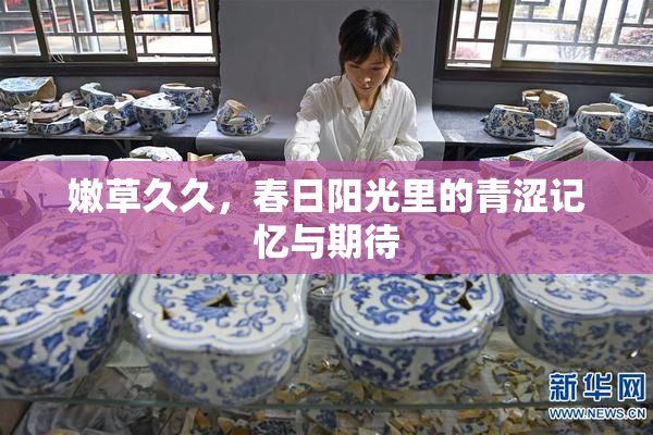 嫩草久久，春日阳光里的青涩记忆与期待
