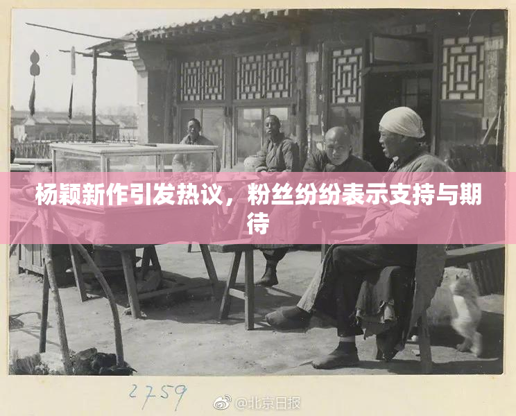 杨颖新作引发热议，粉丝纷纷表示支持与期待