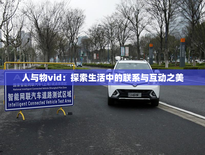 人与物vid：探索生活中的联系与互动之美