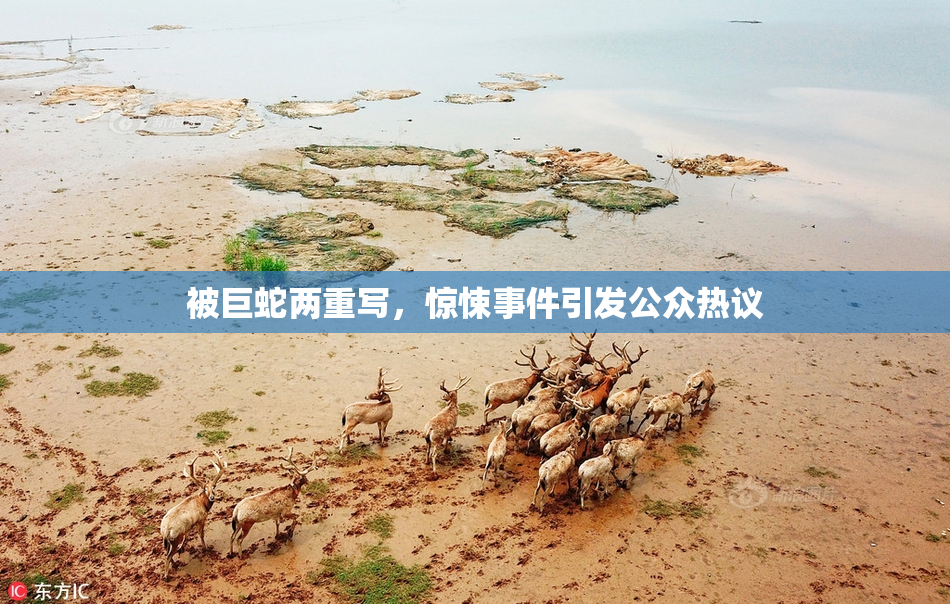 被巨蛇两重写，惊悚事件引发公众热议