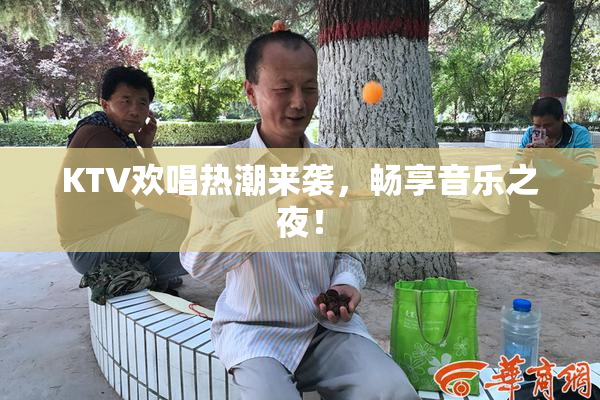 KTV欢唱热潮来袭，畅享音乐之夜！