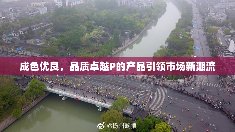 成色优良，品质卓越P的产品引领市场新潮流