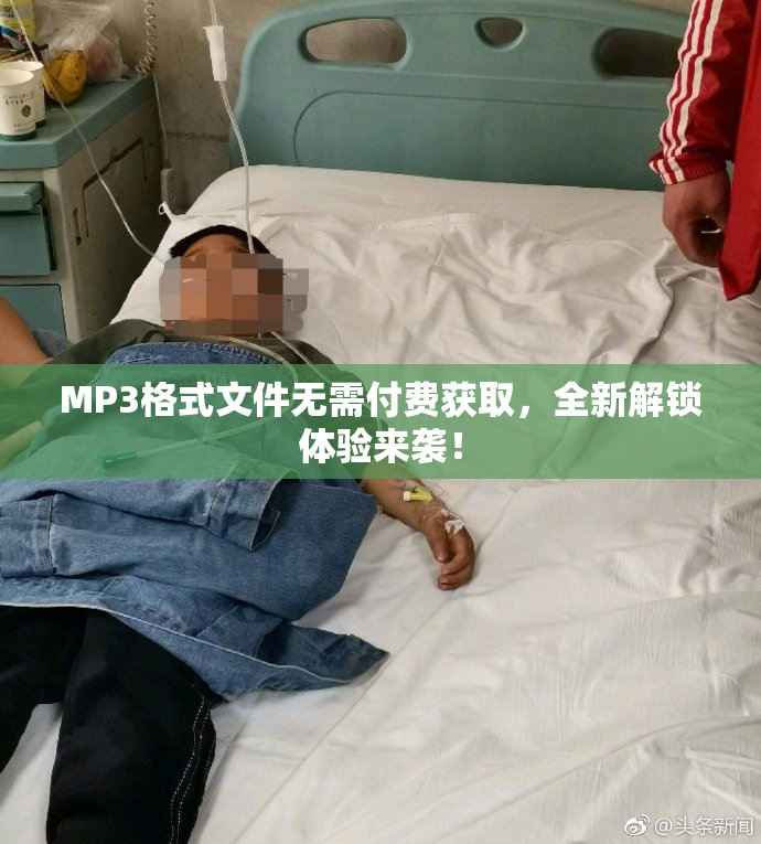 MP3格式文件无需付费获取，全新解锁体验来袭！