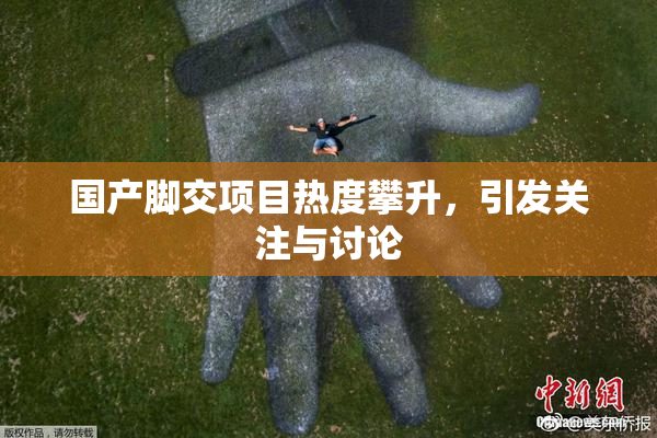 国产脚交项目热度攀升，引发关注与讨论