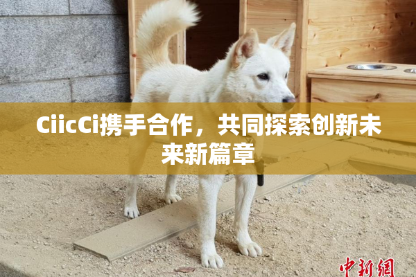 CiicCi携手合作，共同探索创新未来新篇章