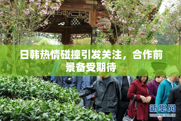 日韩热情碰撞引发关注，合作前景备受期待