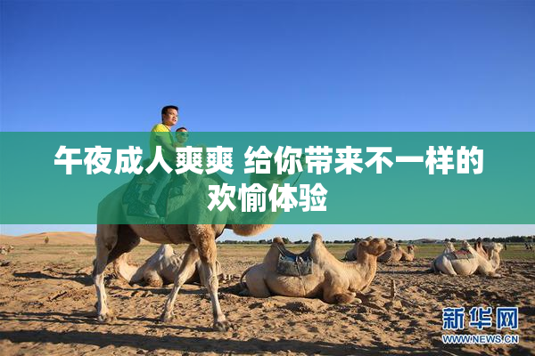 午夜成人爽爽 给你带来不一样的欢愉体验