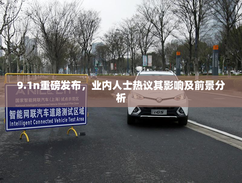 9.1n重磅发布，业内人士热议其影响及前景分析