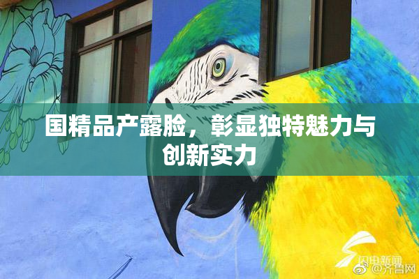国精品产露脸，彰显独特魅力与创新实力