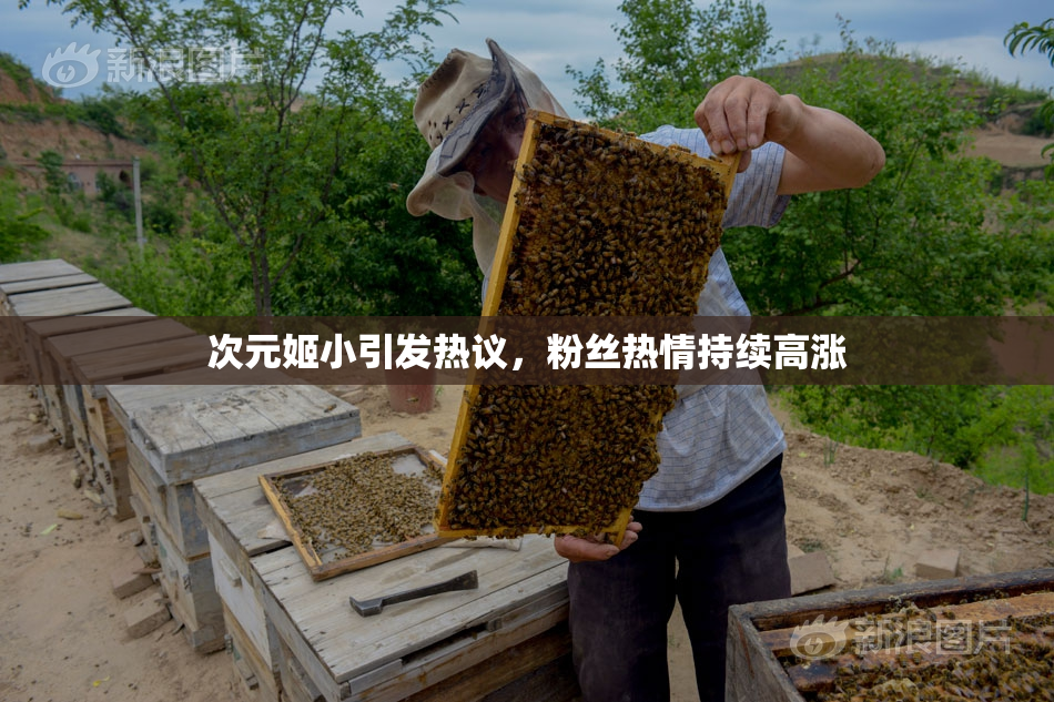 次元姬小引发热议，粉丝热情持续高涨