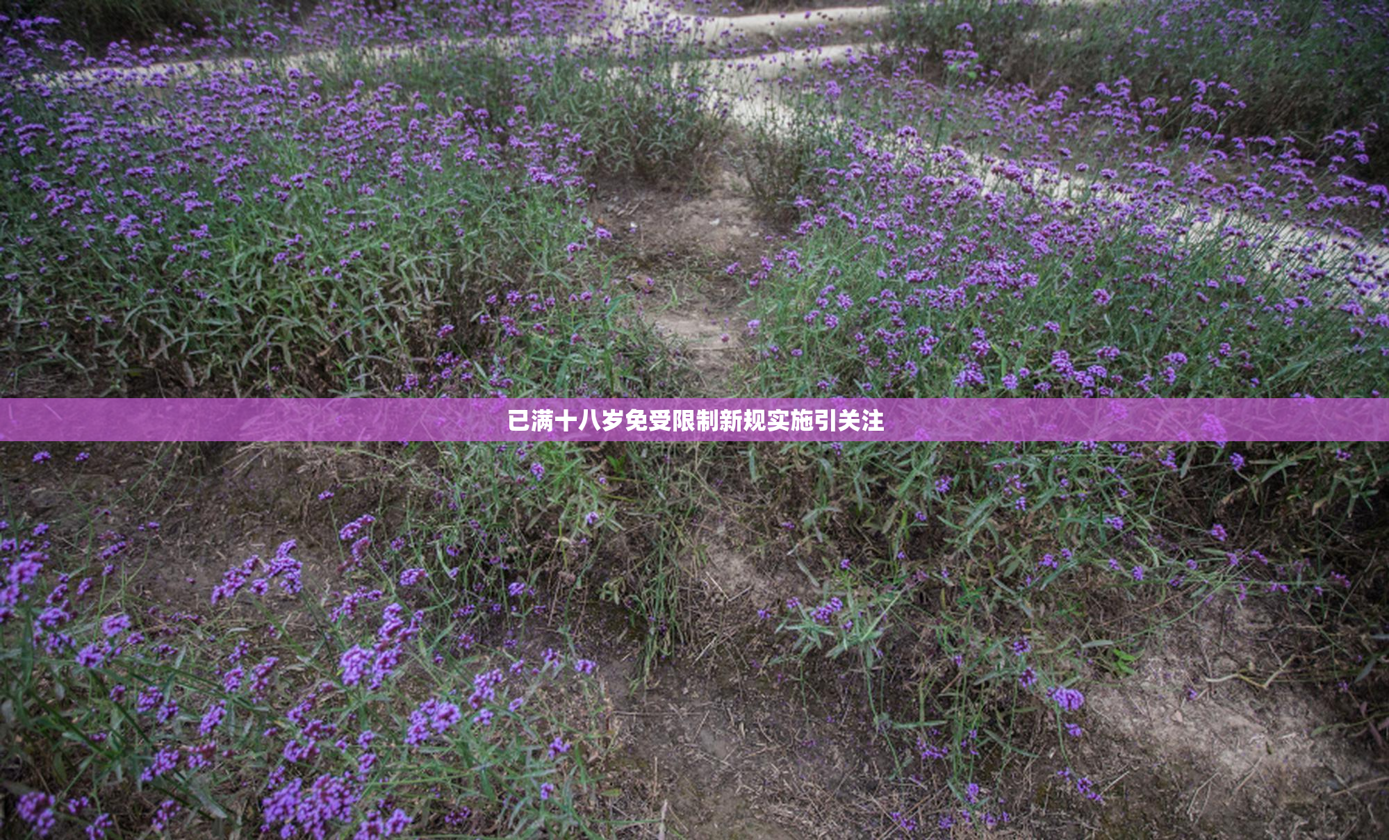 已满十八岁免受限制新规实施引关注