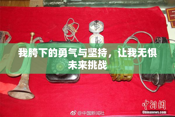 我胯下的勇气与坚持，让我无惧未来挑战