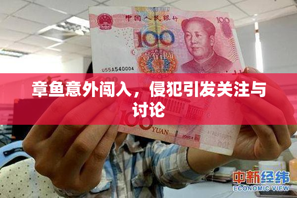 章鱼意外闯入，侵犯引发关注与讨论
