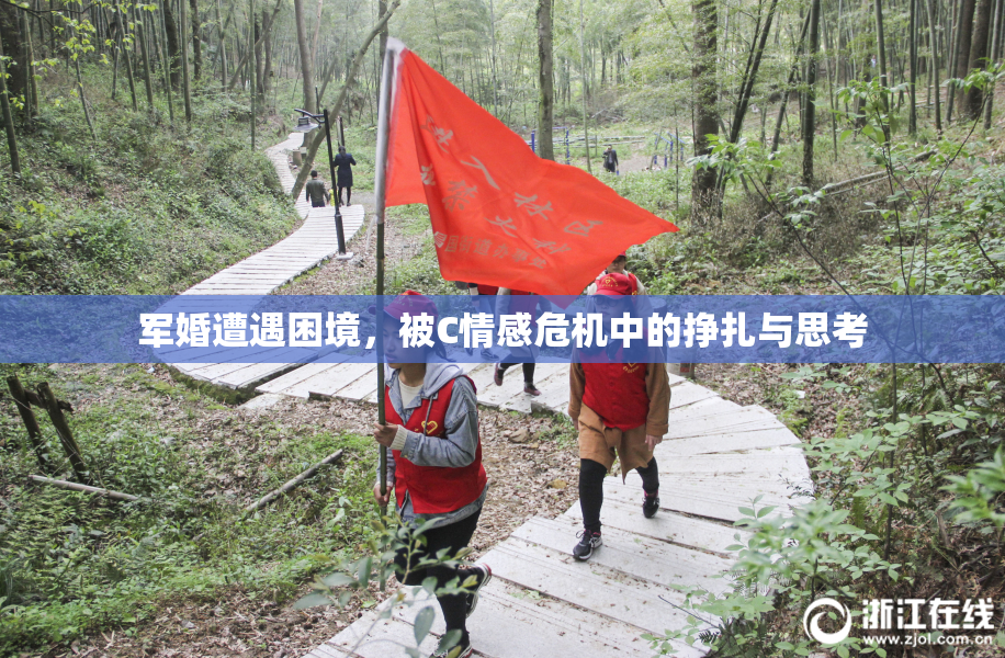 军婚遭遇困境，被C情感危机中的挣扎与思考