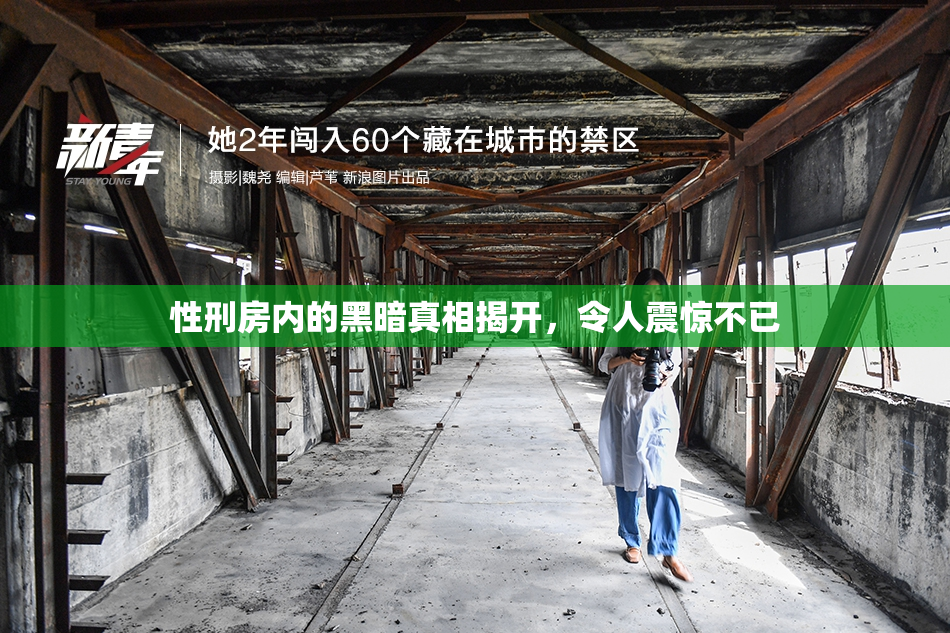 性刑房内的黑暗真相揭开，令人震惊不已