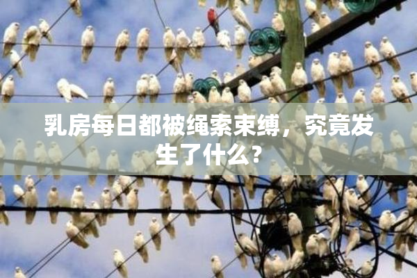 乳房每日都被绳索束缚，究竟发生了什么？