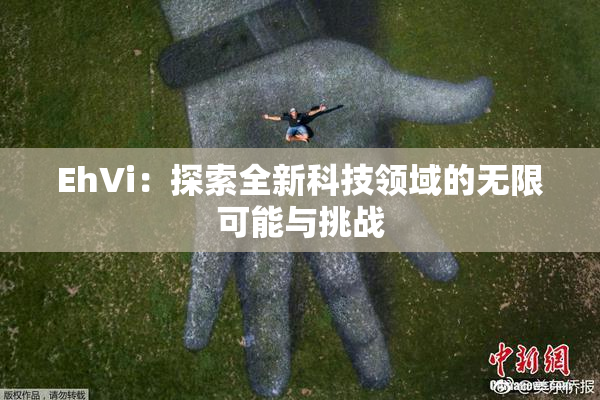 EhVi：探索全新科技领域的无限可能与挑战