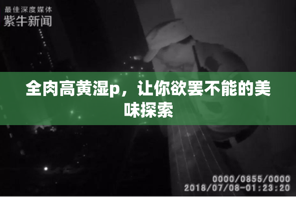 全肉高黄湿p，让你欲罢不能的美味探索