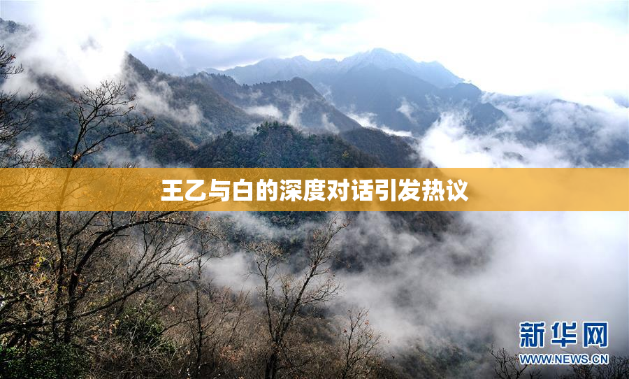 王乙与白的深度对话引发热议