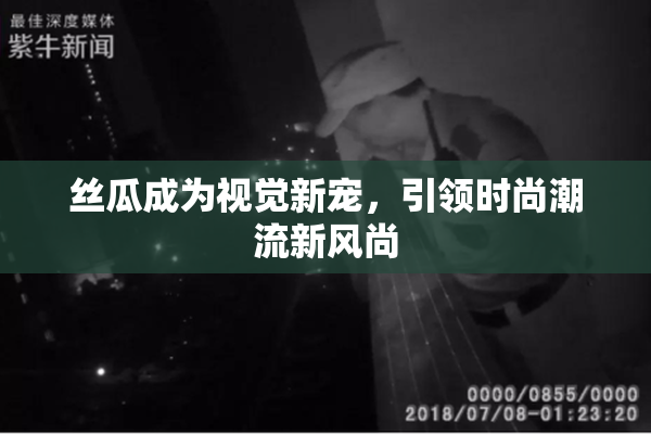 丝瓜成为视觉新宠，引领时尚潮流新风尚