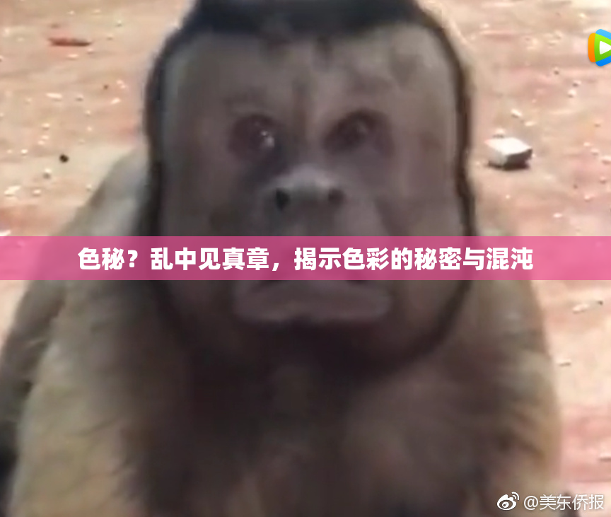 色秘？乱中见真章，揭示色彩的秘密与混沌