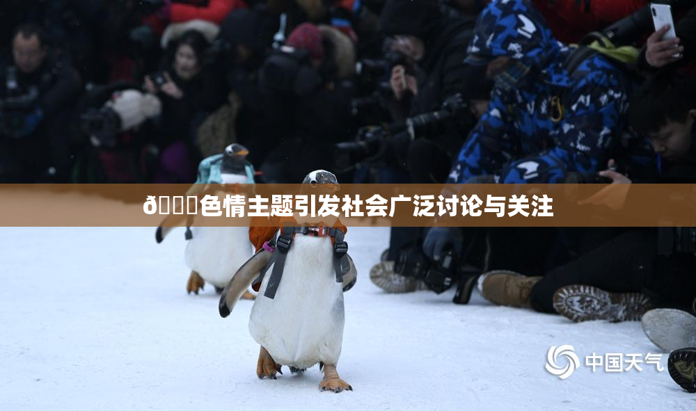 🔞色情主题引发社会广泛讨论与关注