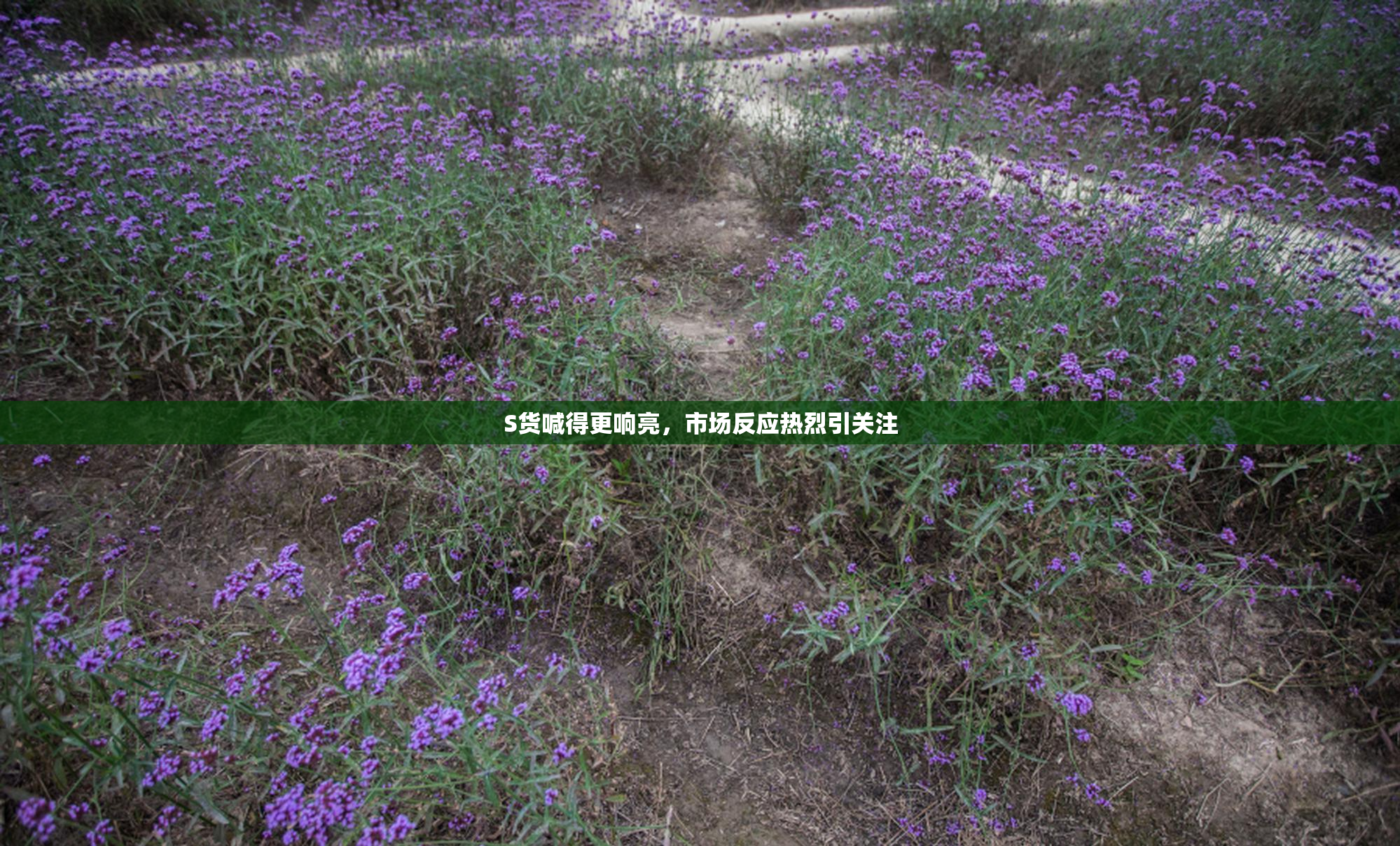 S货喊得更响亮，市场反应热烈引关注