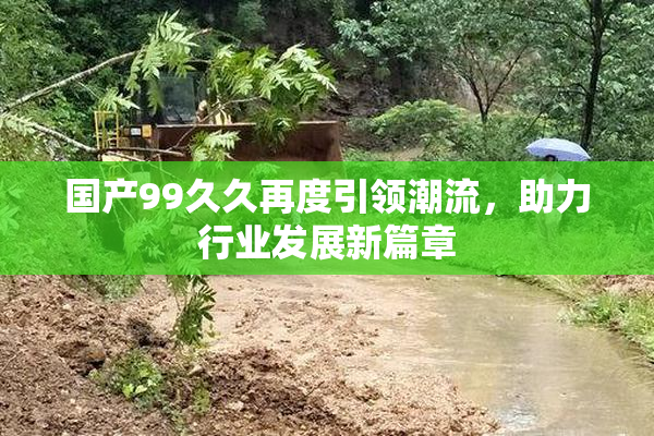 国产99久久再度引领潮流，助力行业发展新篇章
