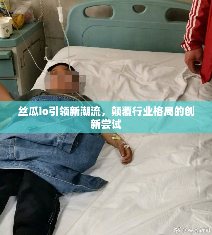 丝瓜io引领新潮流，颠覆行业格局的创新尝试