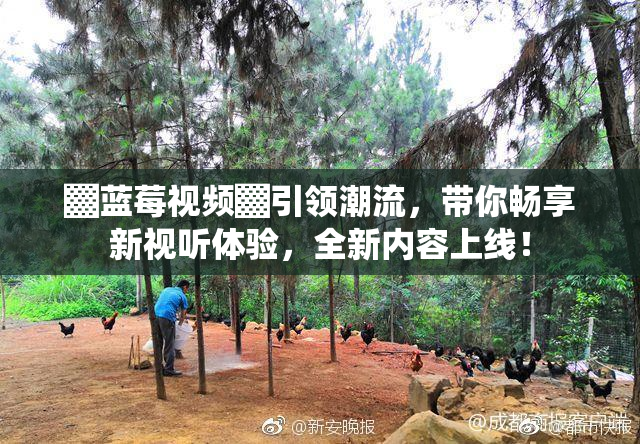 ▓蓝莓视频▓引领潮流，带你畅享新视听体验，全新内容上线！